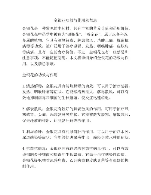 金银花功效与作用及禁忌