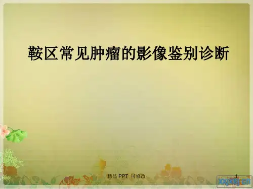 鞍区常见肿瘤的影像鉴别诊断精品课件