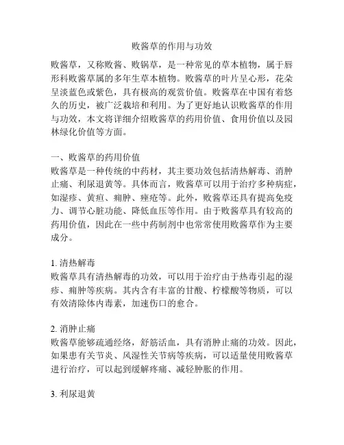 败酱草的作用与功效