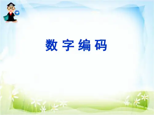 数 字 编 码