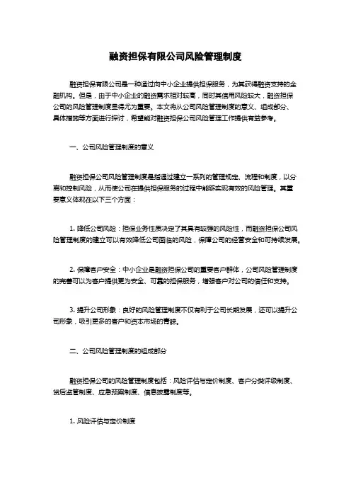融资担保有限公司风险管理制度