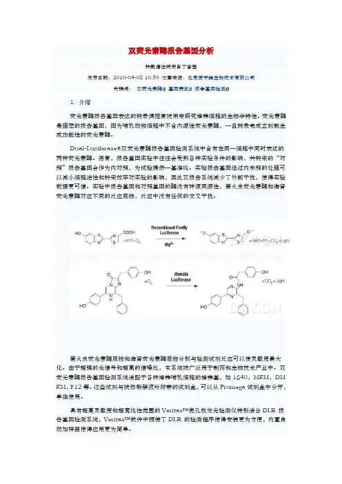 双荧光素酶报告基因分析