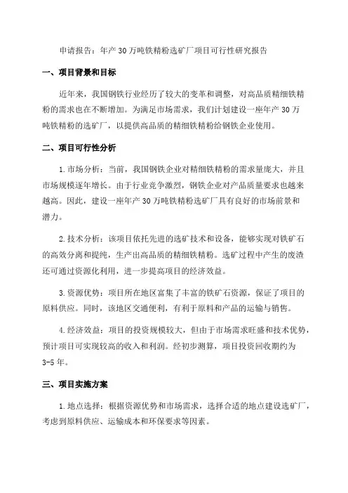 年产30万吨铁精粉选矿厂项目可行性研究报告申请报告