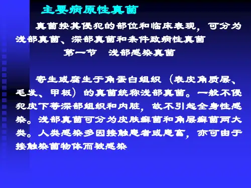 病原生物与免疫学PPT课件之病原性真菌