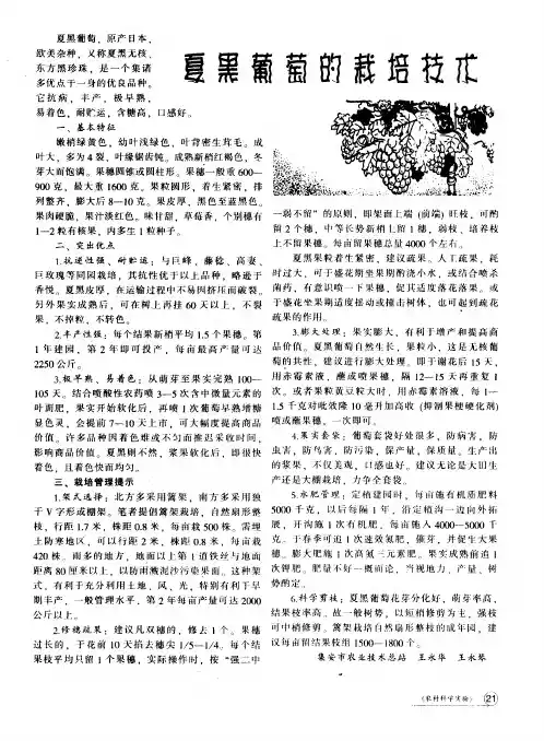 夏黑葡萄的栽培技术