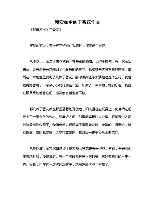 我爱家乡的丁香花作文