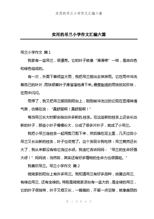实用的吊兰小学作文汇编六篇