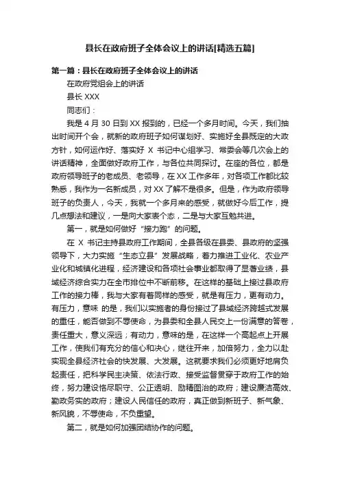 县长在政府班子全体会议上的讲话[精选五篇]