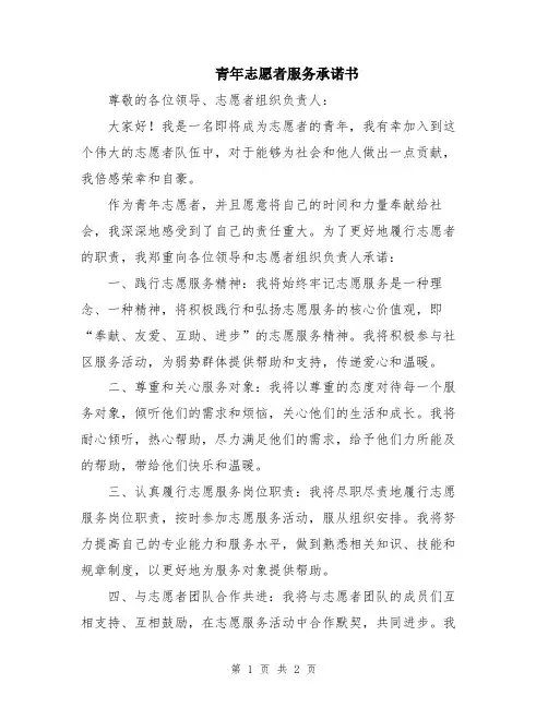 青年志愿者服务承诺书