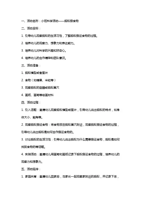 小班科学活动蚂蚁搬食物教案
