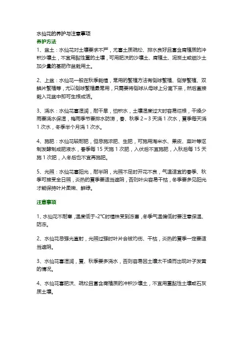 水仙花的养护与注意事项