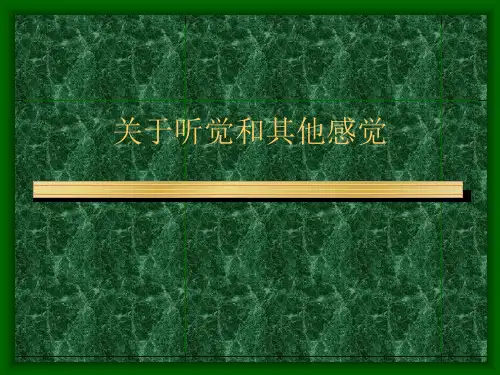 关于听觉和其他感觉课件