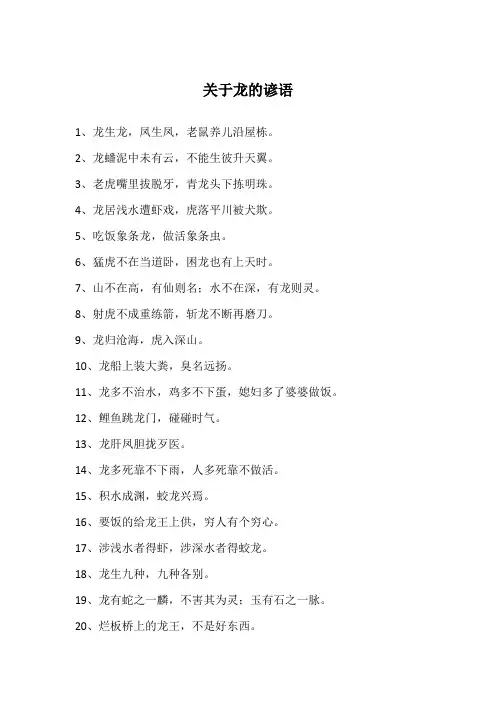 关于龙的谚语