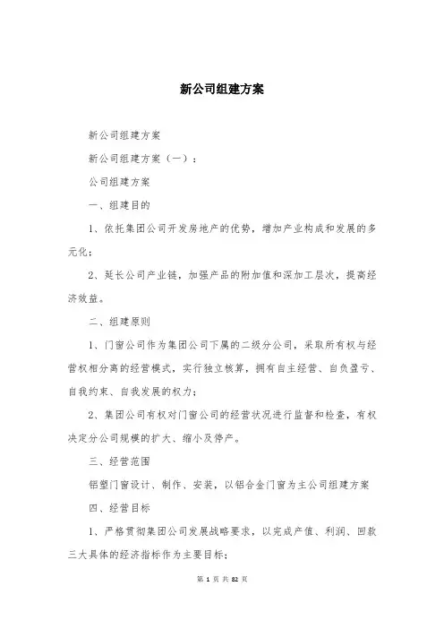 新公司组建方案
