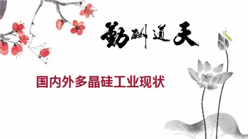 国内外多晶硅工业现状