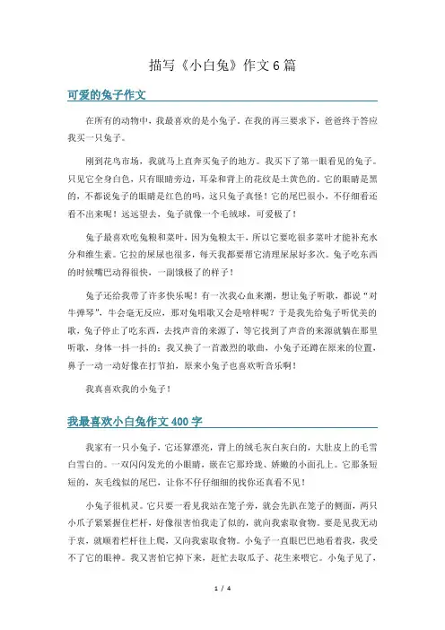 描写《小白兔》作文6篇