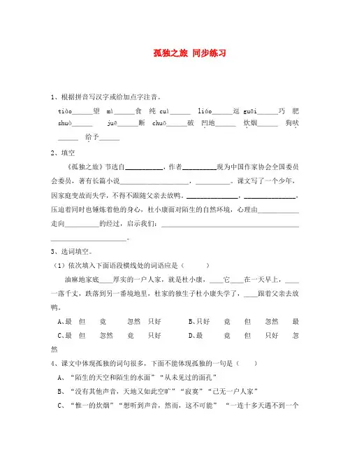 九年级语文上册 孤独之旅 同步练习 新人教版