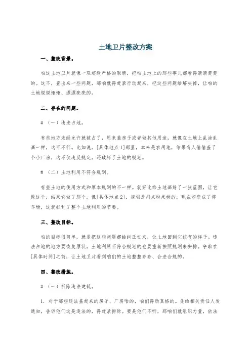 土地卫片整改方案
