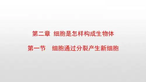 最新人教版七年级生物上册第二单元第二章细胞怎样构成生物体PPT
