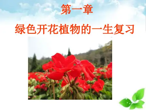 绿色开花植物的一生复习ppt课件(自制)