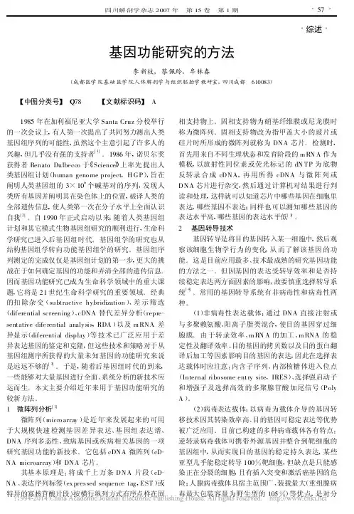 基因功能研究的方法_李新枝