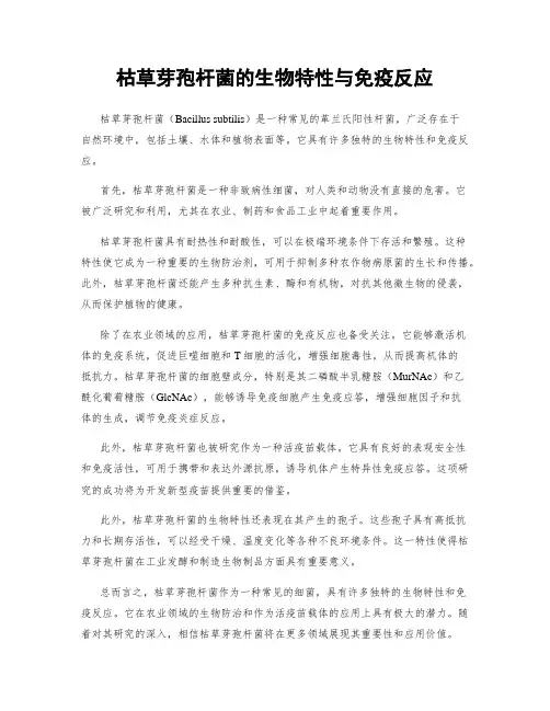 枯草芽孢杆菌的生物特性与免疫反应