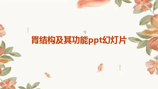胃结构及其功能ppt幻灯片