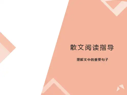 散文阅读之重要句子的含义
