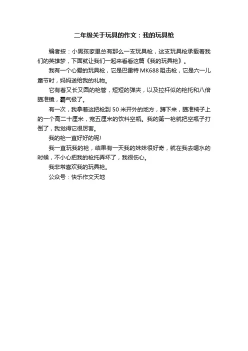 二年级关于玩具的作文：我的玩具枪