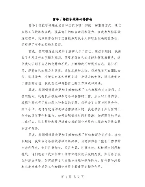 青年干部挂职锻炼心得体会