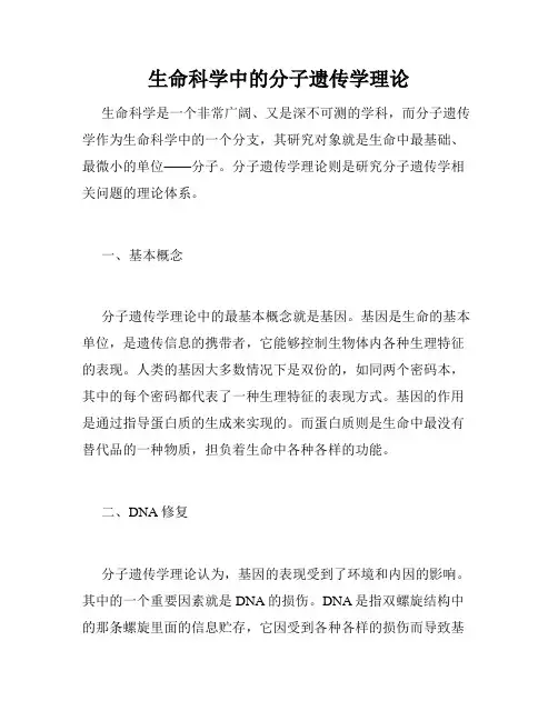 生命科学中的分子遗传学理论