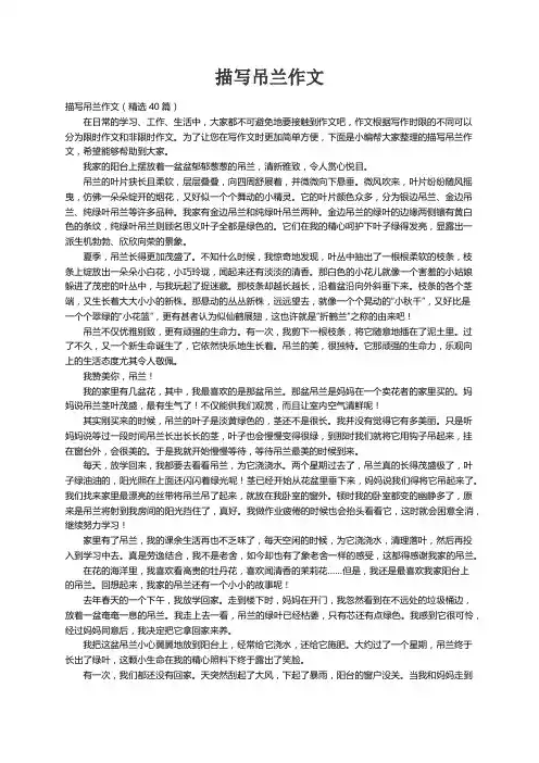 描写吊兰作文（精选40篇）