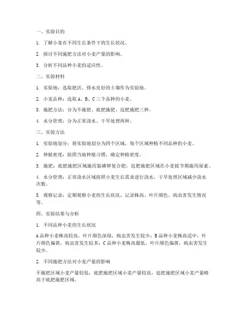 小麦做对比实验报告