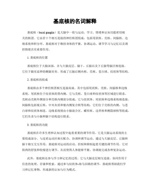 基底核的名词解释