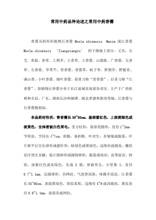 常用中药品种论述之常用中药香薷
