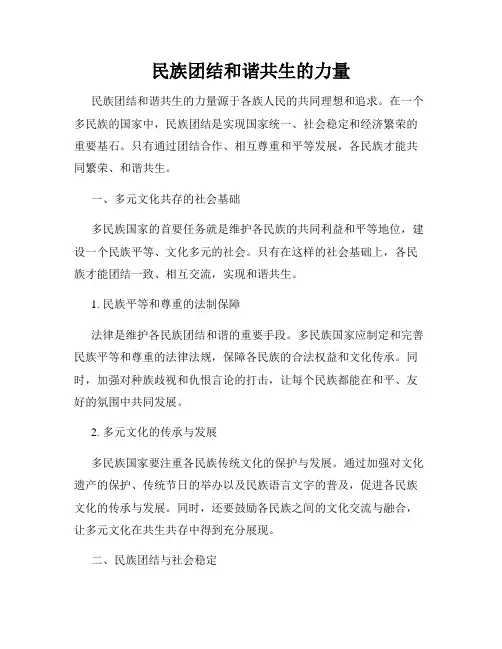 民族团结和谐共生的力量