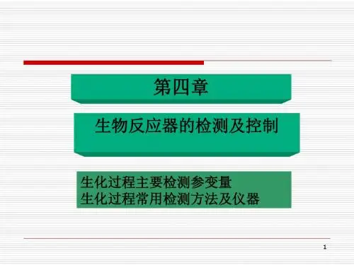 生物反应器的检测及控制ppt解读