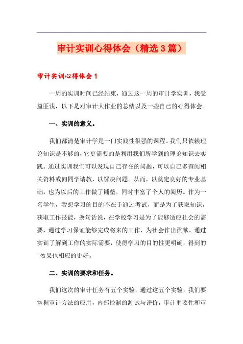 审计实训心得体会(精选3篇)