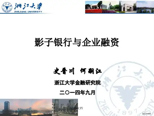 影子银行体系课件-新版.ppt