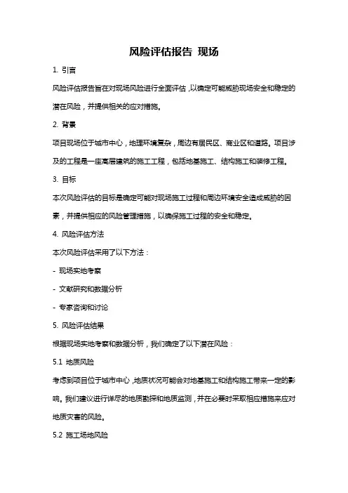 风险评估报告 现场