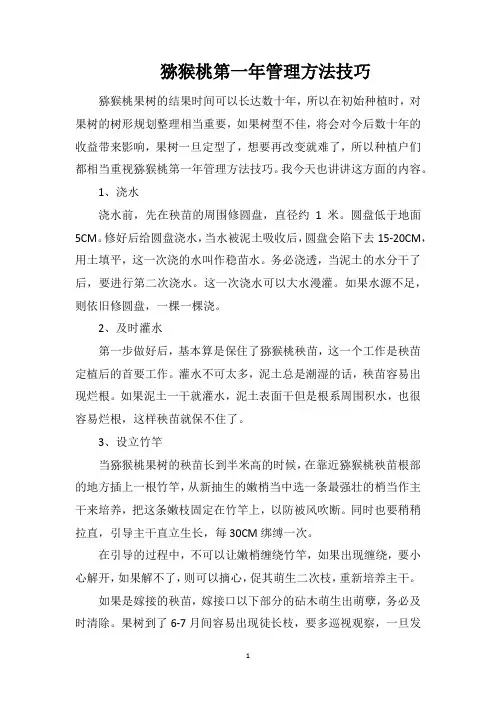 猕猴桃第一年管理方法技巧
