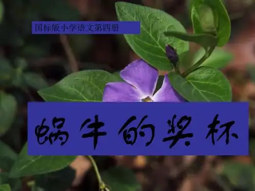 二年级语文蜗牛的奖杯1