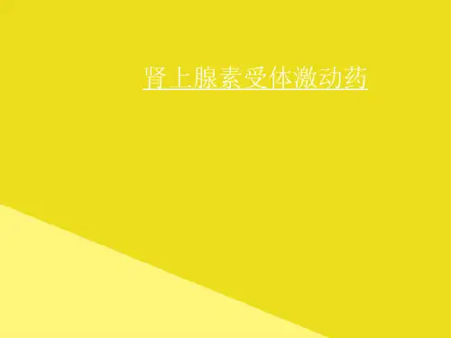 肾上腺素受体激动药PPT资料(正式版)