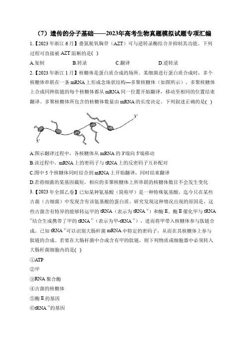2023年高考生物真题模拟试题专项汇编：(7)遗传的分子基础(含答案)