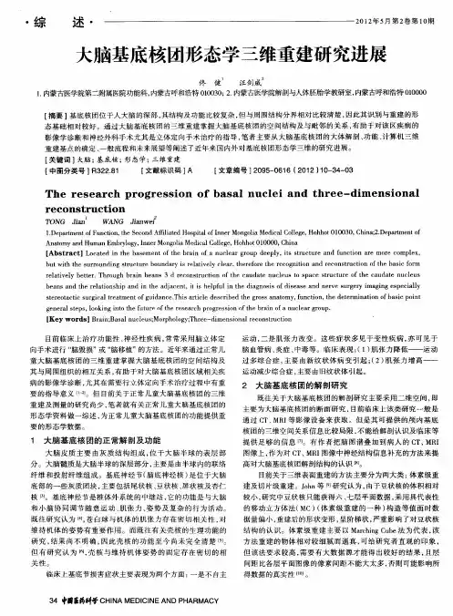 大脑基底核团形态学三维重建研究进展