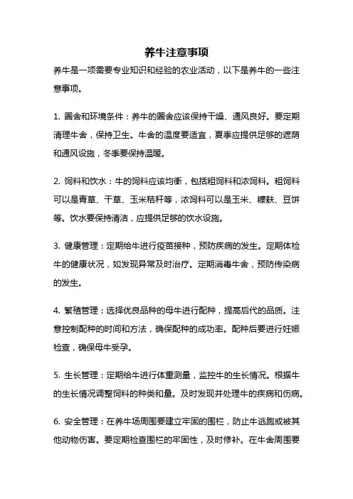 养牛注意事项