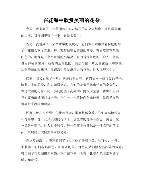 小学三年级作文这儿真美范文在花海中欣赏美丽的花朵