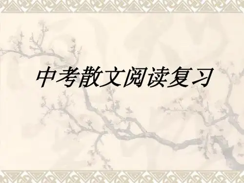 中考散文阅读复习1