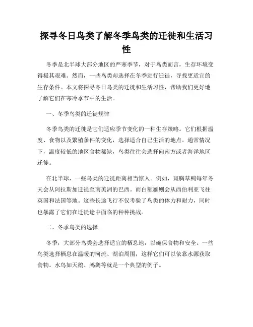 探寻冬日鸟类了解冬季鸟类的迁徙和生活习性