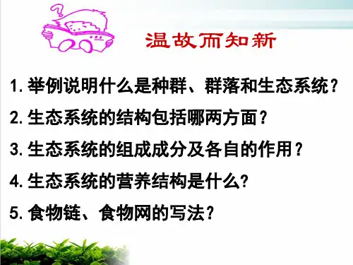 【新教材】人教版初中生物生态系统PPT精品课件5